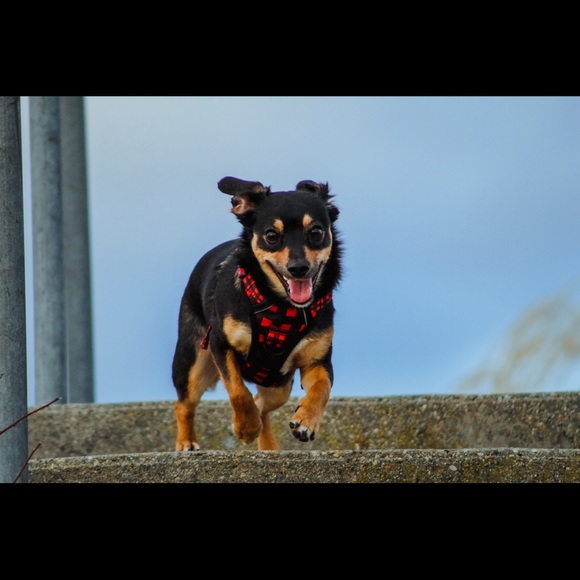 Meet your Posher, Shannon - Picture 5 of 7